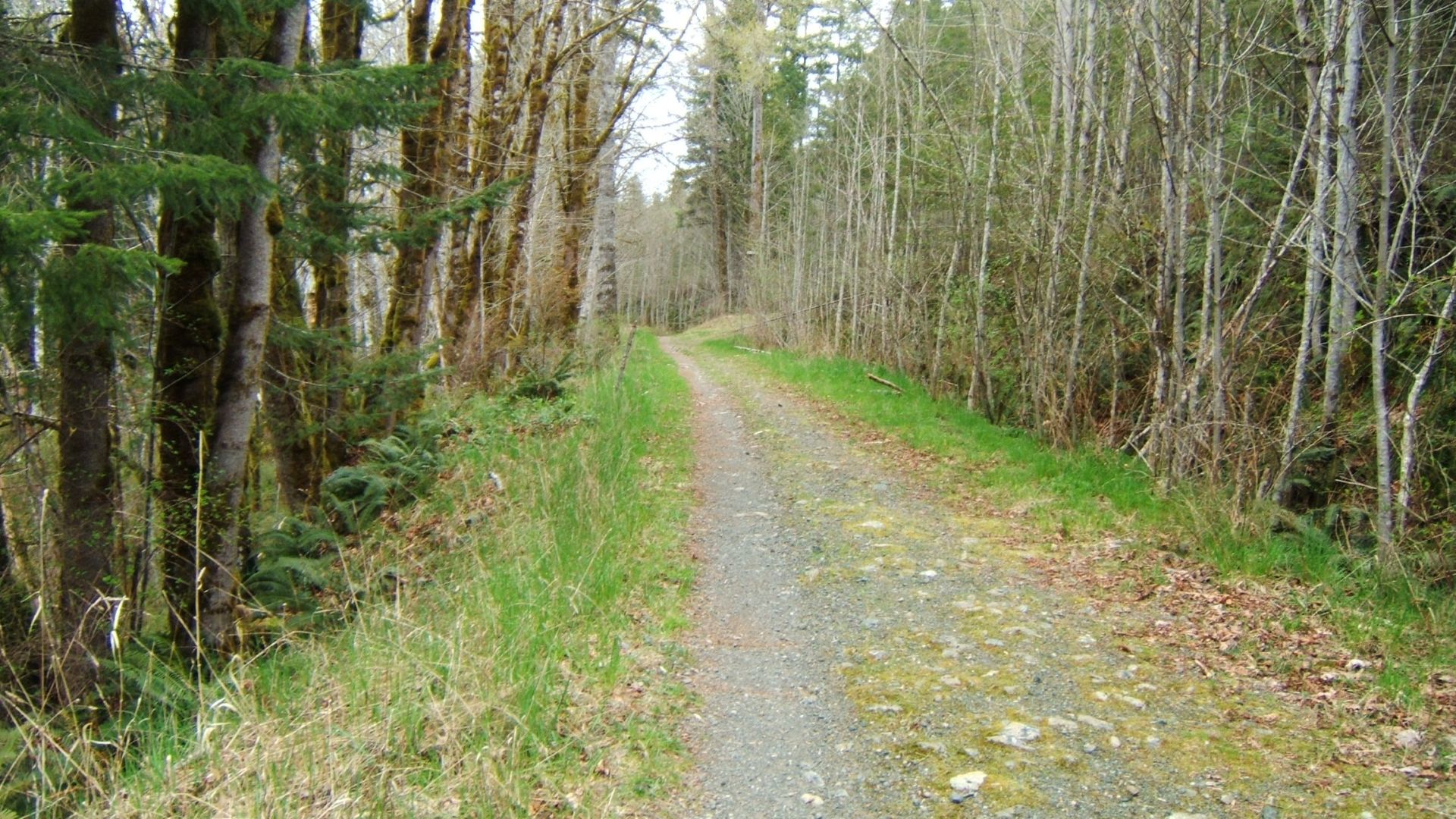 road